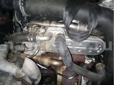 Новое Volkswagen Golf, 2008 г., арт. B35854215_4