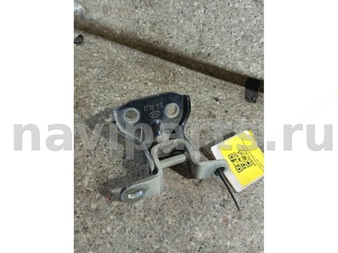 Петля двери задней левой Kia Picanto, 2006 г., арт. 46023037622