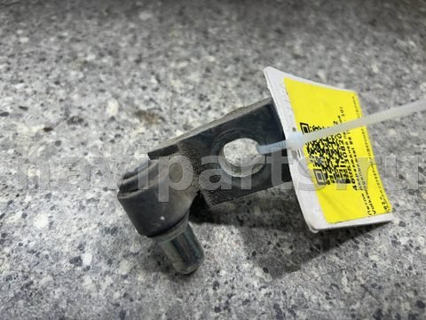 Петля двери задней правой Volkswagen Passat, 2008 г., арт. 46023082002