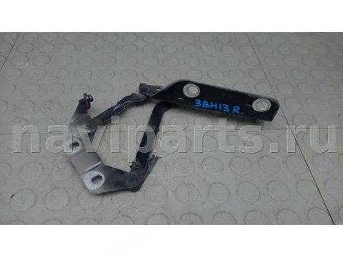 Петля капота Land-Rover Evoque, 2012 г., арт. 3BM13D502