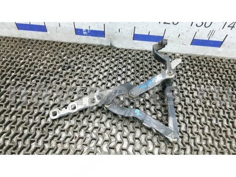 Петля капота Mercedes S W221, 2009 г., арт. 7AD12D502