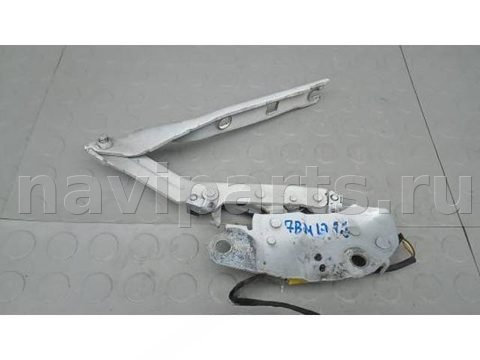 Петля капота Volkswagen Tiguan, 2018 г., OEM 5NA823302G, арт. 7BM13D501