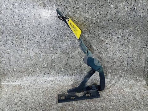 Петля капота левая BMW 7 E65/E66, 2007 г., OEM 8240333, арт. 46023020560