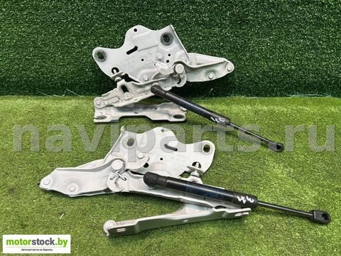 Петля капота правая BMW X5 G05, 2021 г., OEM 7418201, арт. 113796201_3