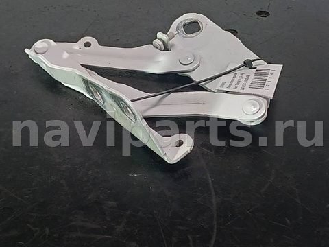 Петля капота правая Ford Transit, 2023 г., OEM KK3116800AB, арт. 174041
