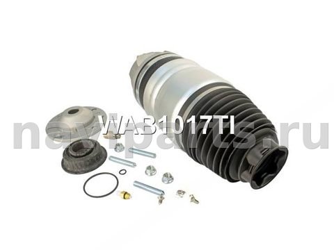 Пневмоподушка Porsche Cayenne 958, 2014 г., OEM WAB1017AA, арт. _2222834641-6