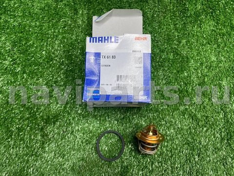 Термостат Ford Taunus, 1981 г., OEM 0000005495311, арт. 1208394312414327680_1