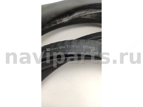 Уплотнитель BMW 7 F01/F02, 2012 г., OEM 7179131, арт. 303-19, фото 2