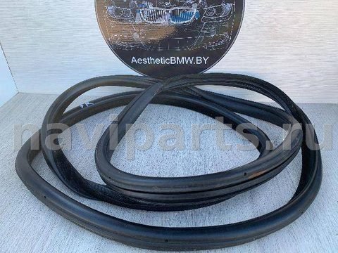 Уплотнитель двери задней правой BMW X5 E70, 2007 г., арт. 10910