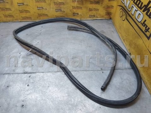 Уплотнитель двери задней правой Renault Scenic RX4, 1999 г., арт. 122322