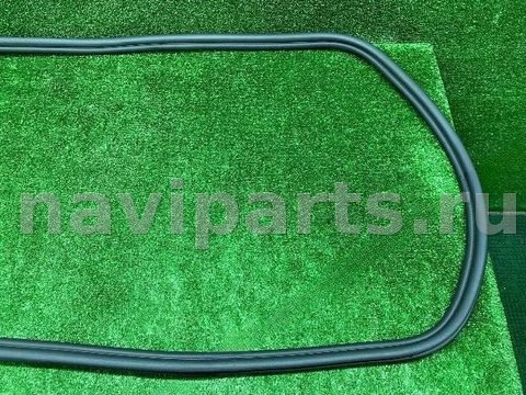 Уплотнитель двери задней правой BMW X6 G06, 2021 г., OEM 51769465546, арт. 16324, фото 3