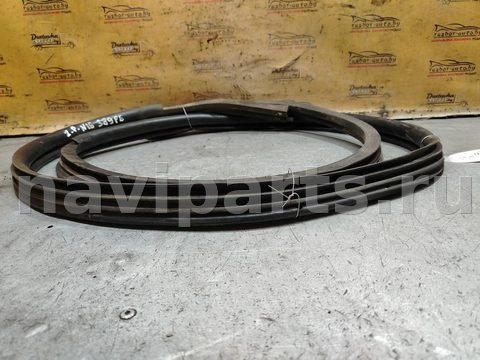 Уплотнитель двери задней правой Nissan Almera N16, 2000 г., арт. 208306, фото 2