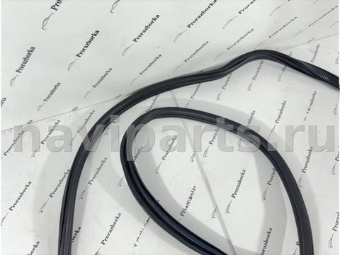 Уплотнитель двери задней правой BMW X7 G07, 2024 г., OEM 7431142, арт. 2998, фото 8