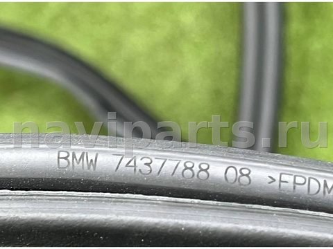 Уплотнитель двери задней правой BMW X6 G06, 2023 г., OEM 7437788, арт. 64112345747974, фото 4
