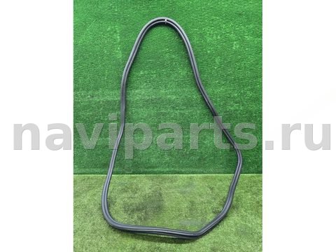 Уплотнитель двери задней правой BMW X5 G05, 2022 г., OEM 7428696, арт. 64119302193