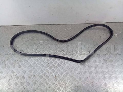 Уплотнитель двери задней правой Volkswagen Passat B6, 2008 г., арт. 67555990