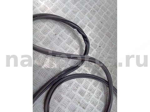Уплотнитель двери задней правой Volkswagen Touareg, 2006 г., OEM 7L0839911D, арт. 74809624, фото 4