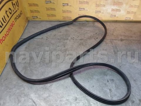 Уплотнитель двери задней правой Nissan Note, 2005 г., арт. 79069