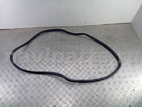 Уплотнитель двери задней правой Volkswagen Passat B6, 2009 г., арт. 88616863