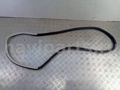Уплотнитель двери задней правой Volkswagen Passat B5, 2004 г., арт. 98018588