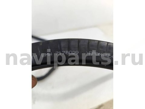Уплотнитель двери задней правой BMW 7 F01/F02, 2009 г., OEM 7178029, арт. BBMW35268_3, фото 2