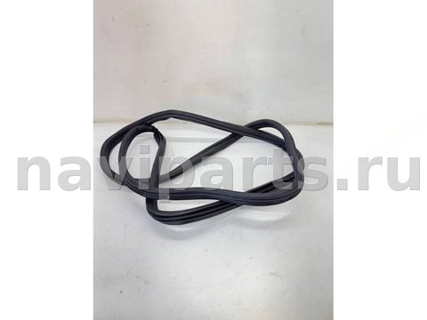 Уплотнитель двери задней правой BMW X5 E70, 2012 г., OEM 7305618, арт. BBMW35885