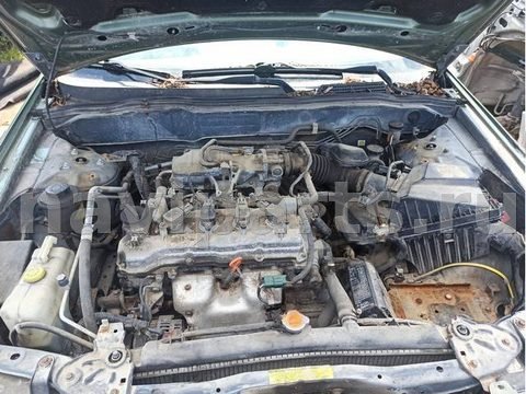 Уплотнитель капота Nissan Almera N16, 2003 г., арт. 57674, фото 2