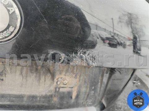 Новое Skoda Fabia, 2009 г., арт. 00117463a, фото 7